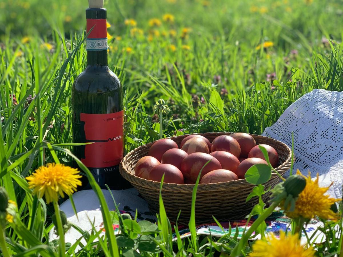 Conacul Maramuresean Bilgar Bogdan Vodă Exteriér fotografie
